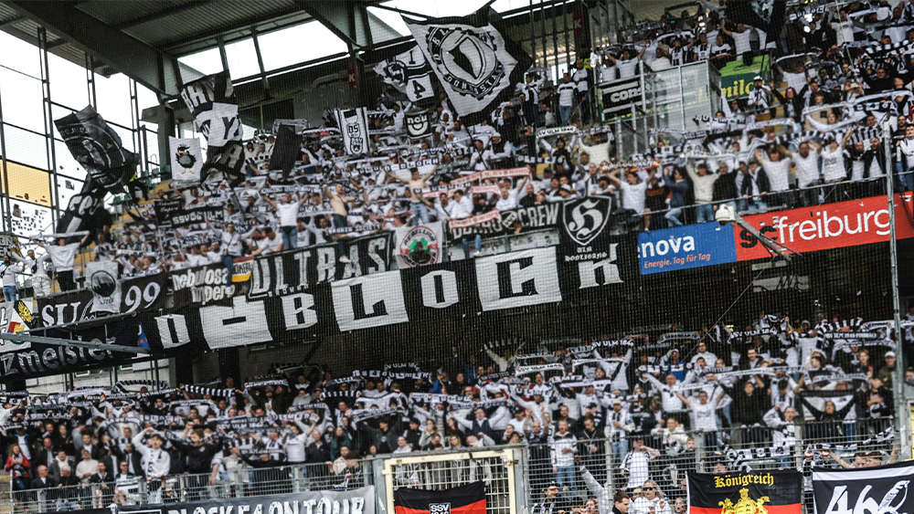 #SCFULM I Faninfos