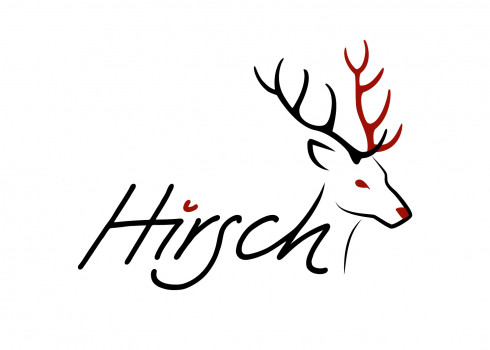 Hirsch GmbH & Co. KG